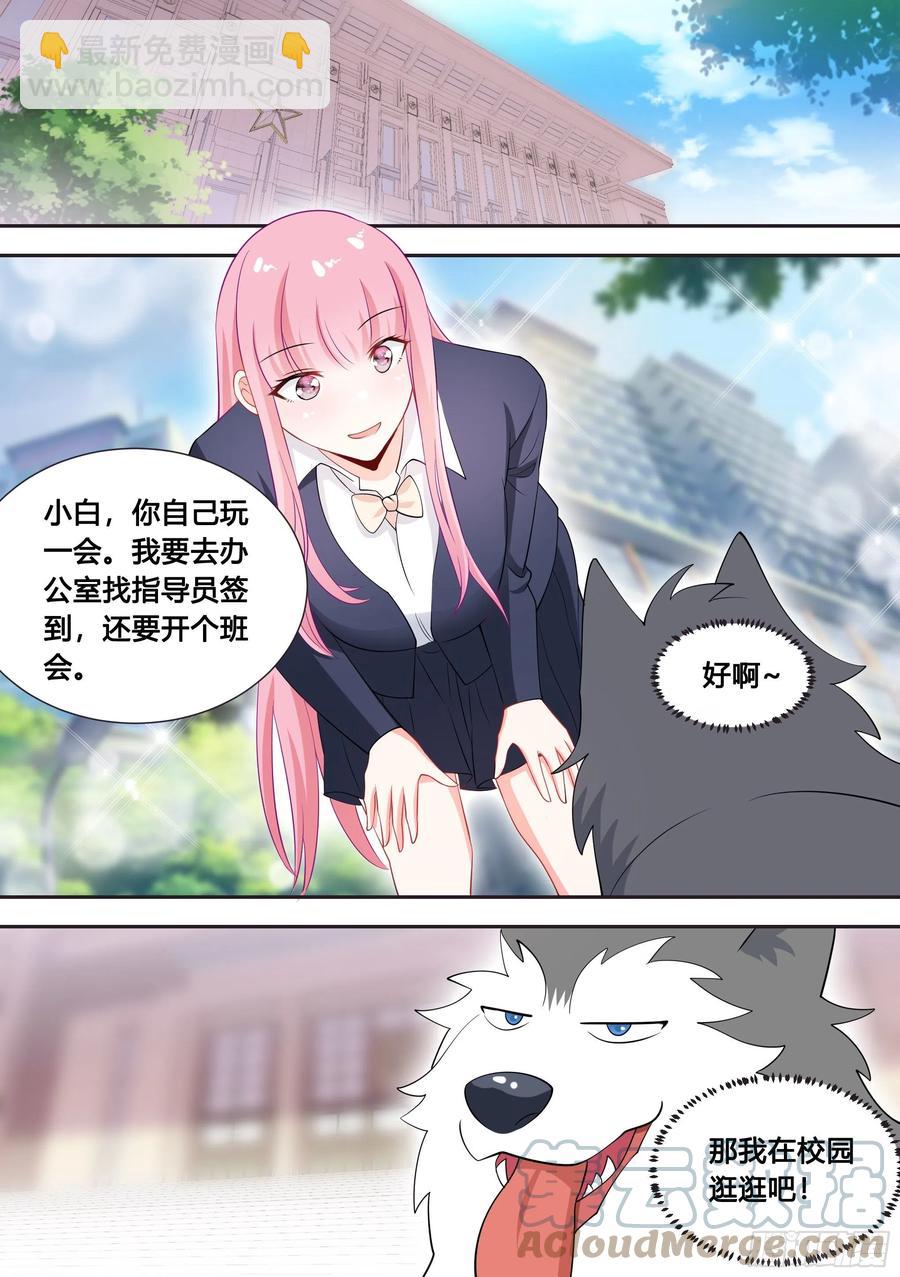 87-二哈也要上学？9