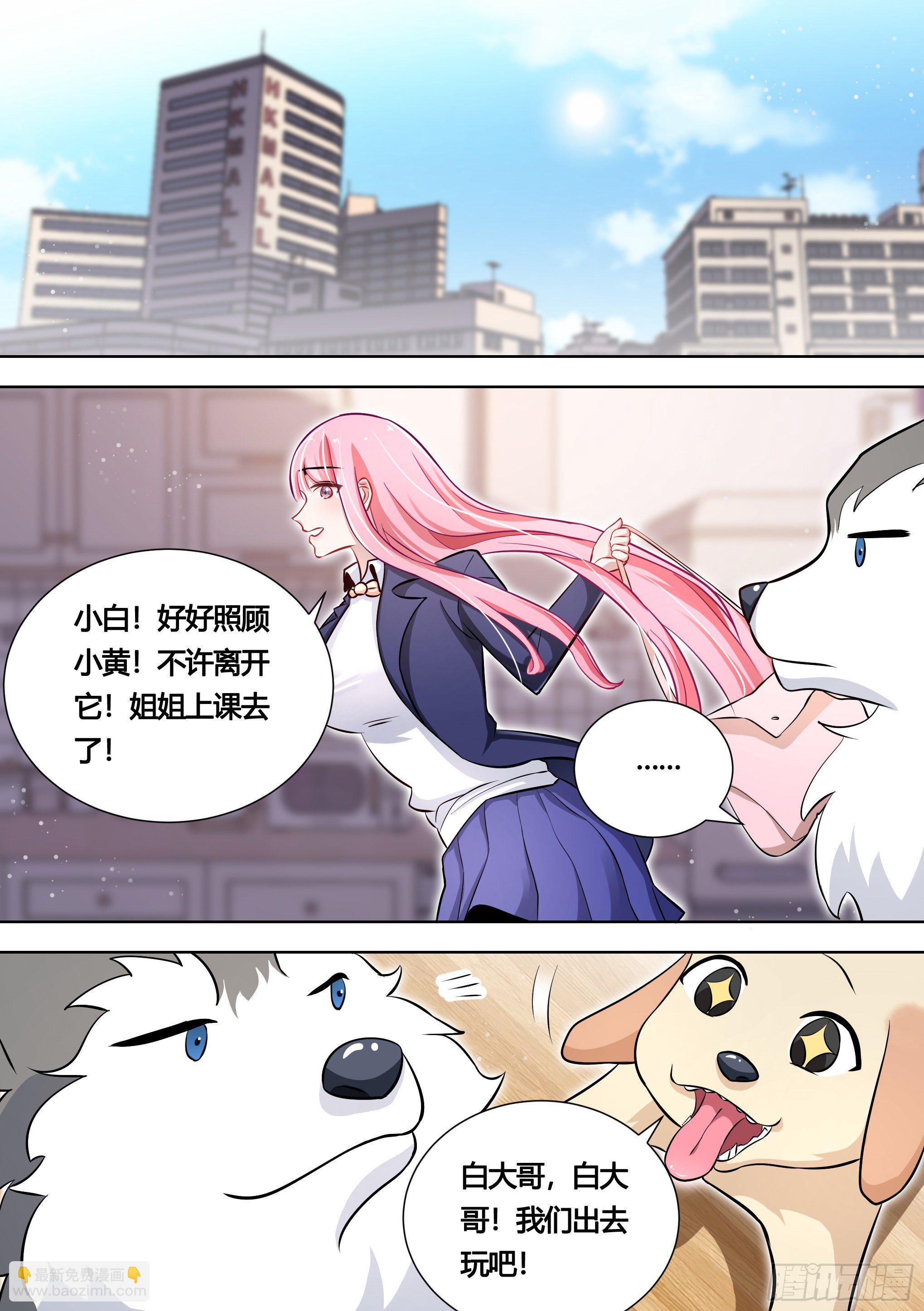 140-关于小黄是个美人的事1