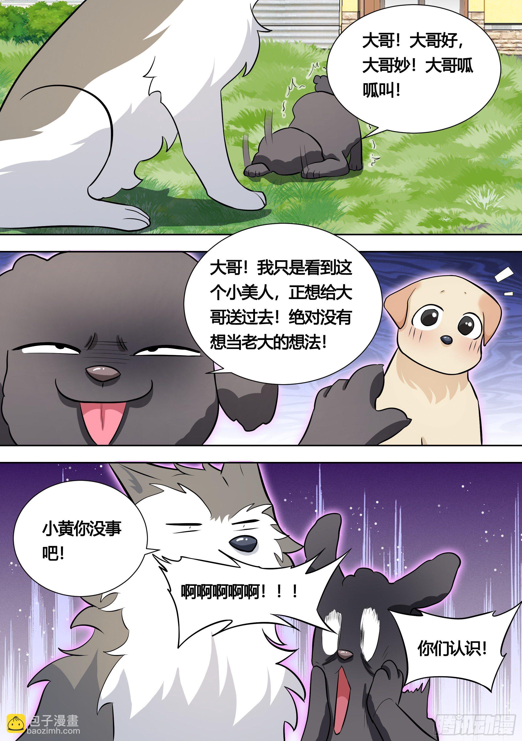 140-关于小黄是个美人的事12