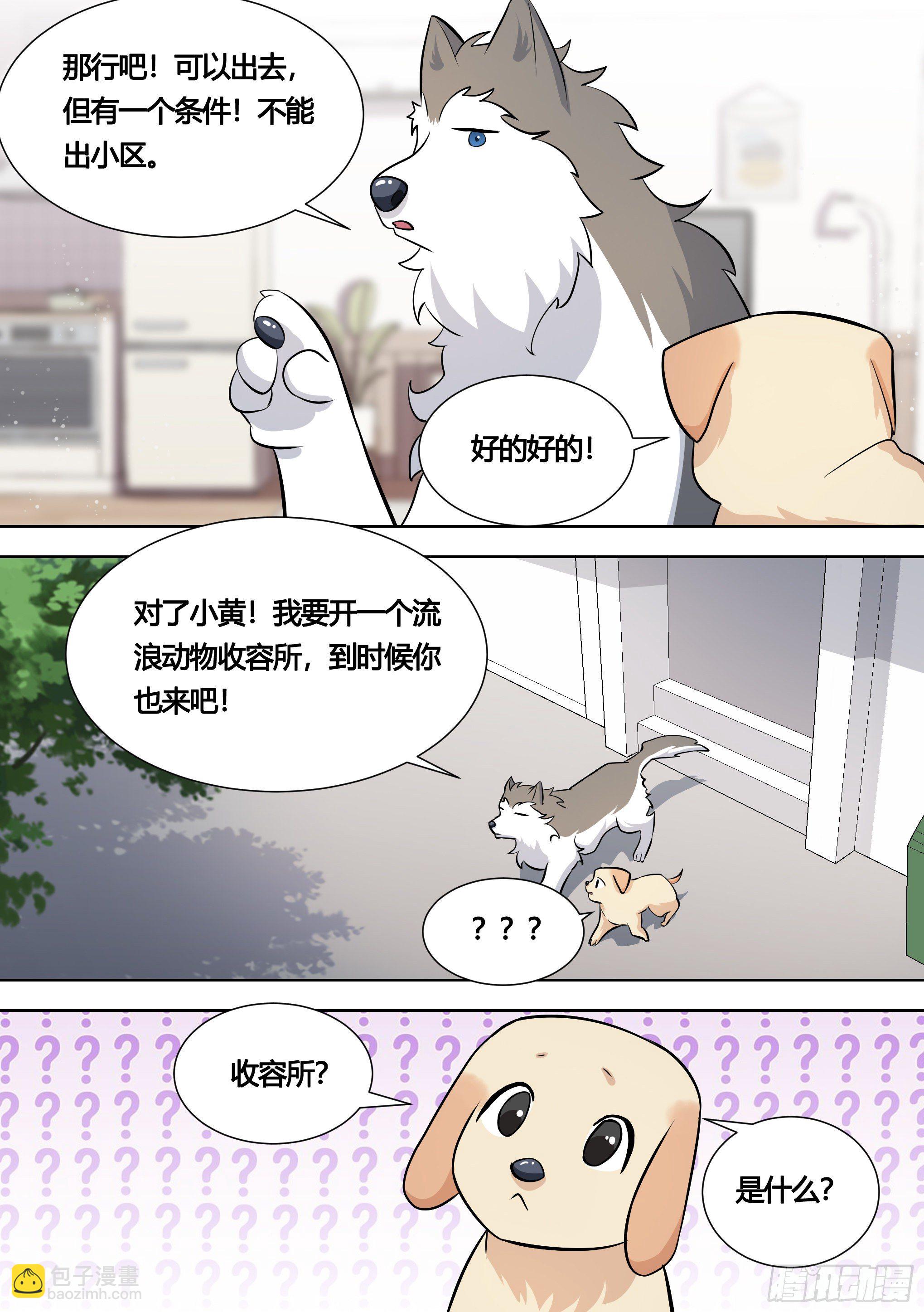 140-关于小黄是个美人的事3