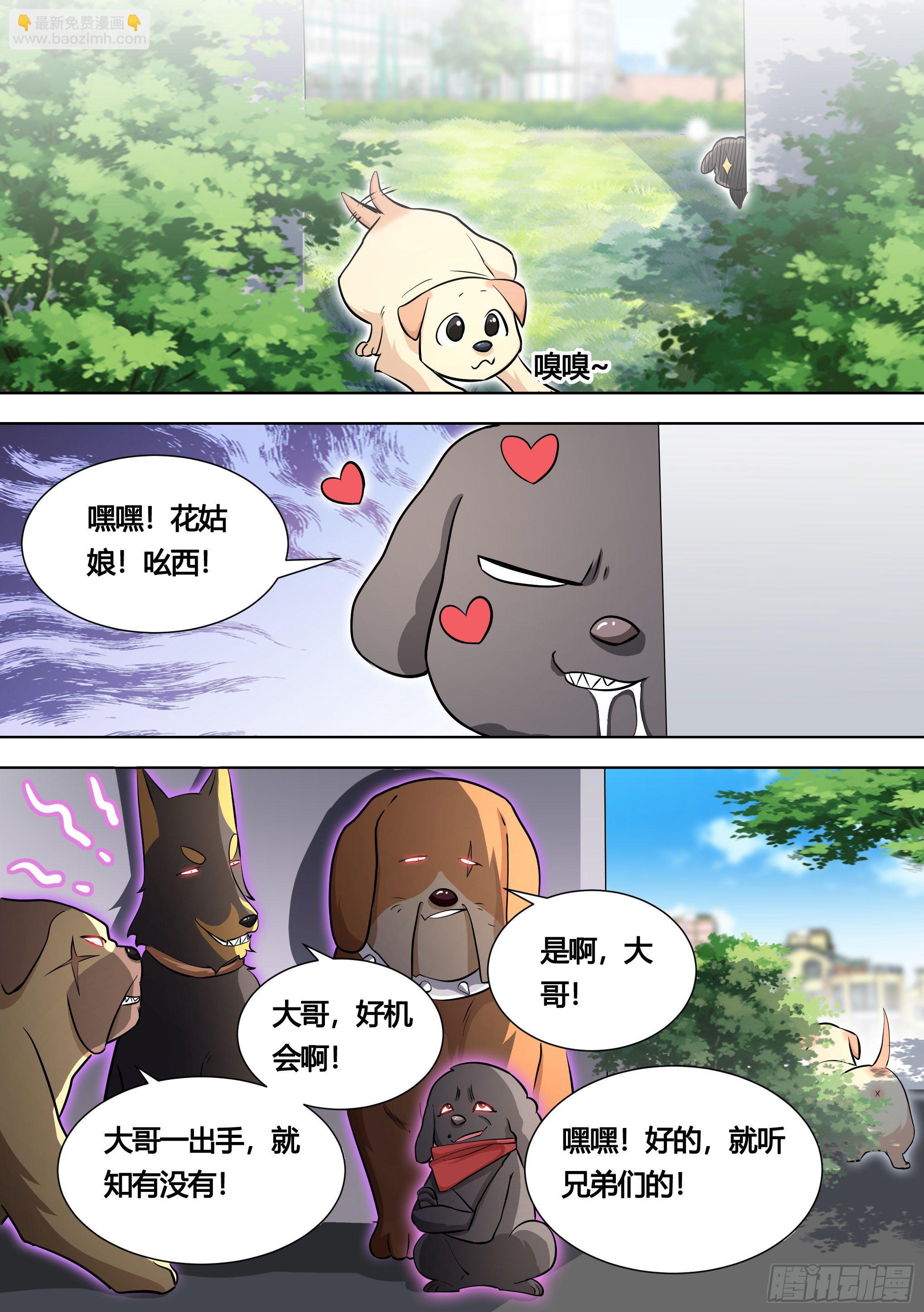 140-关于小黄是个美人的事6