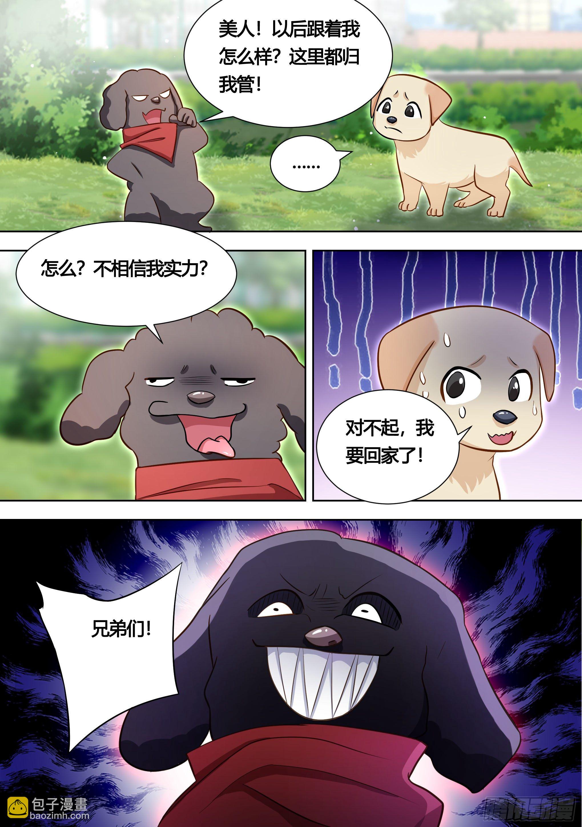 140-关于小黄是个美人的事8