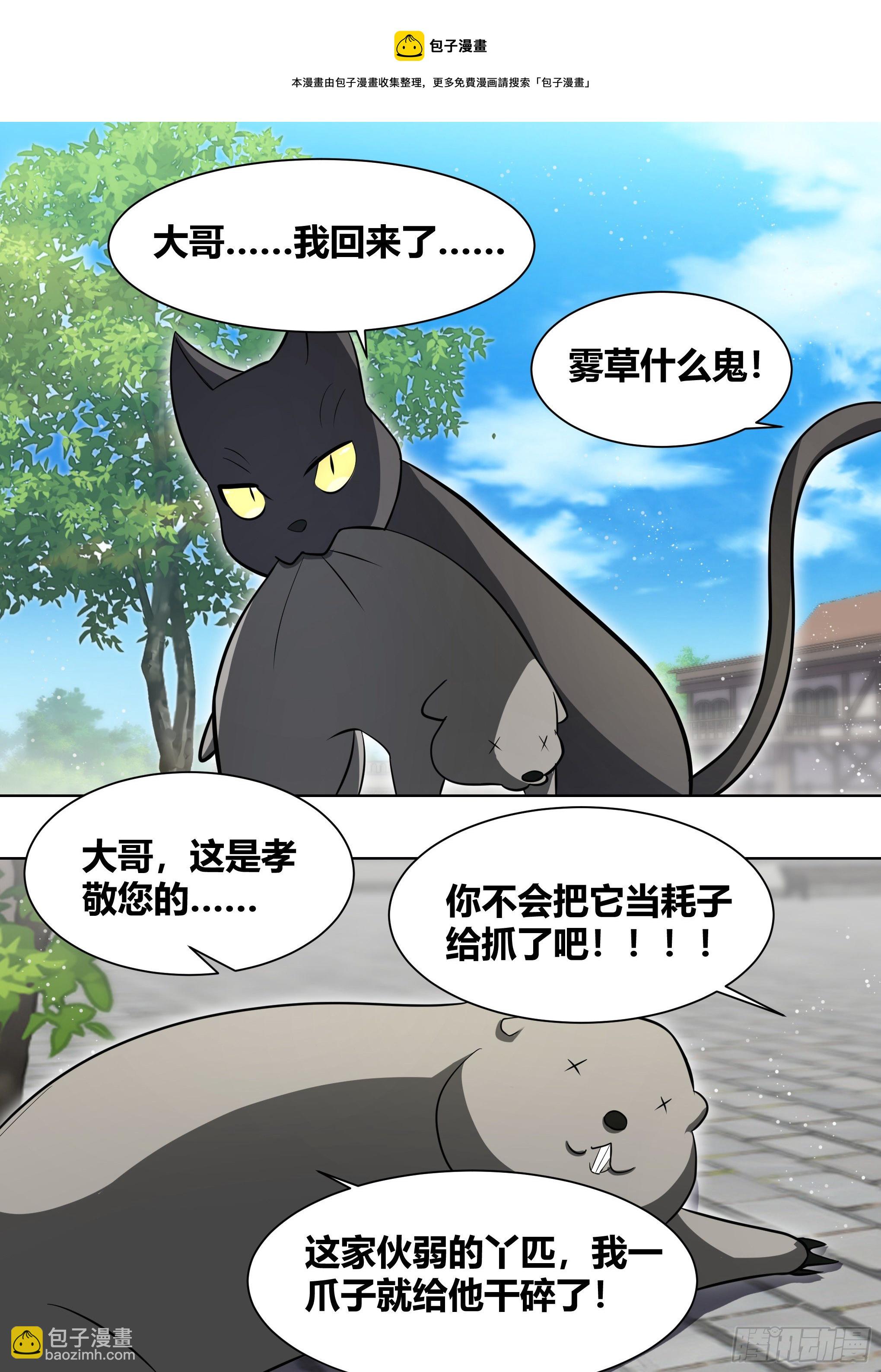 200-猫的报恩4