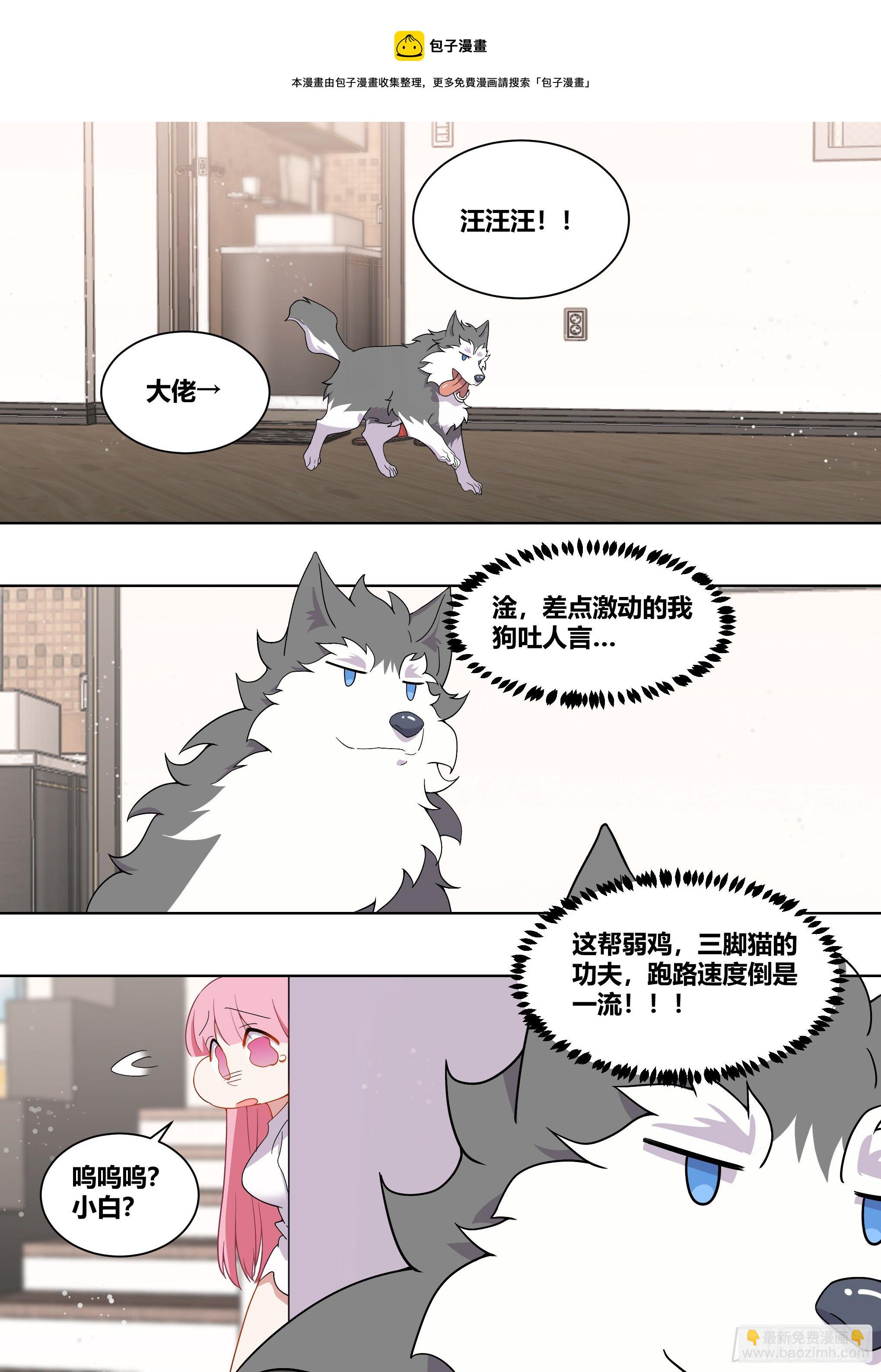 227-母后？？4