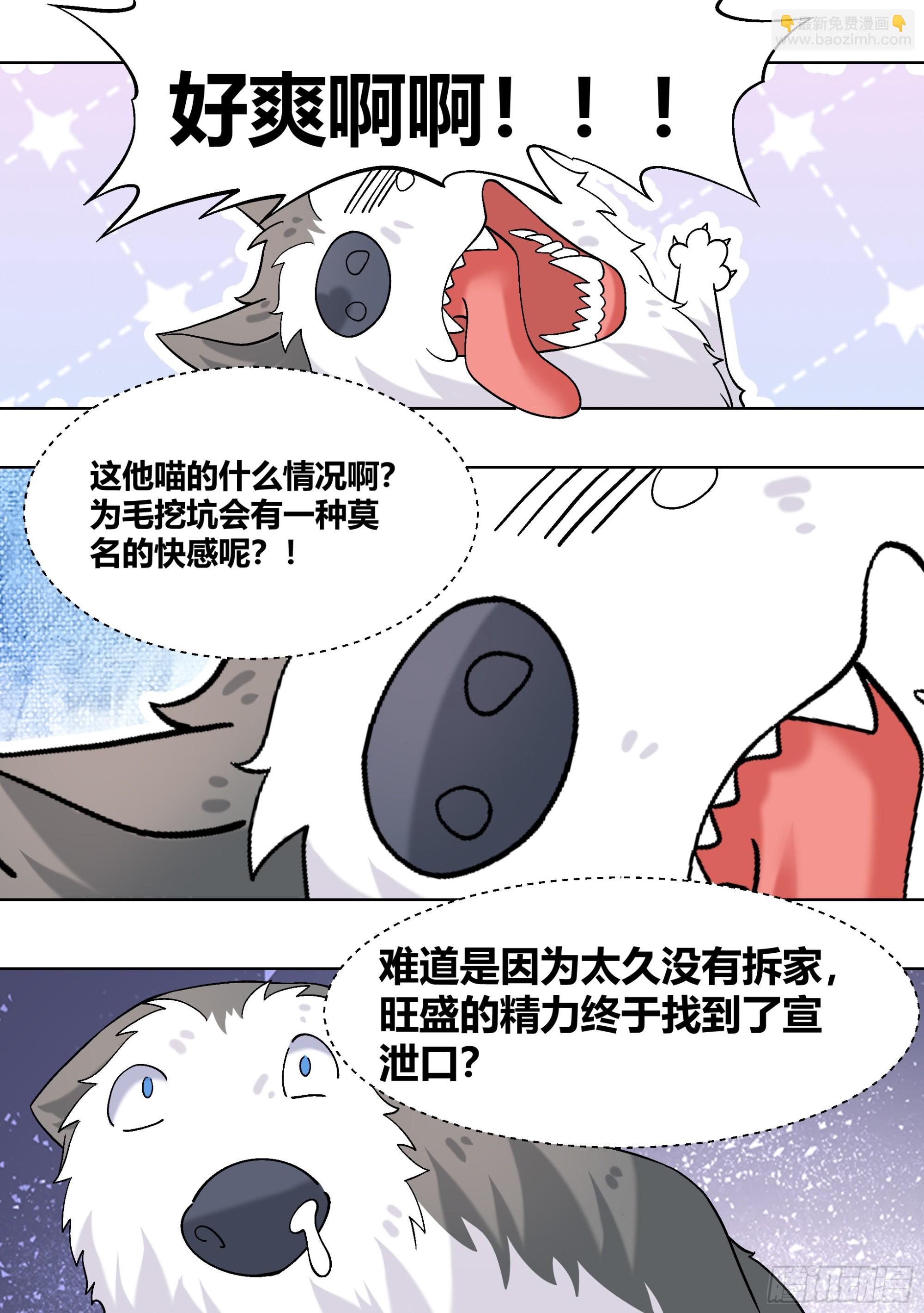 411-没有对比就没有伤害11