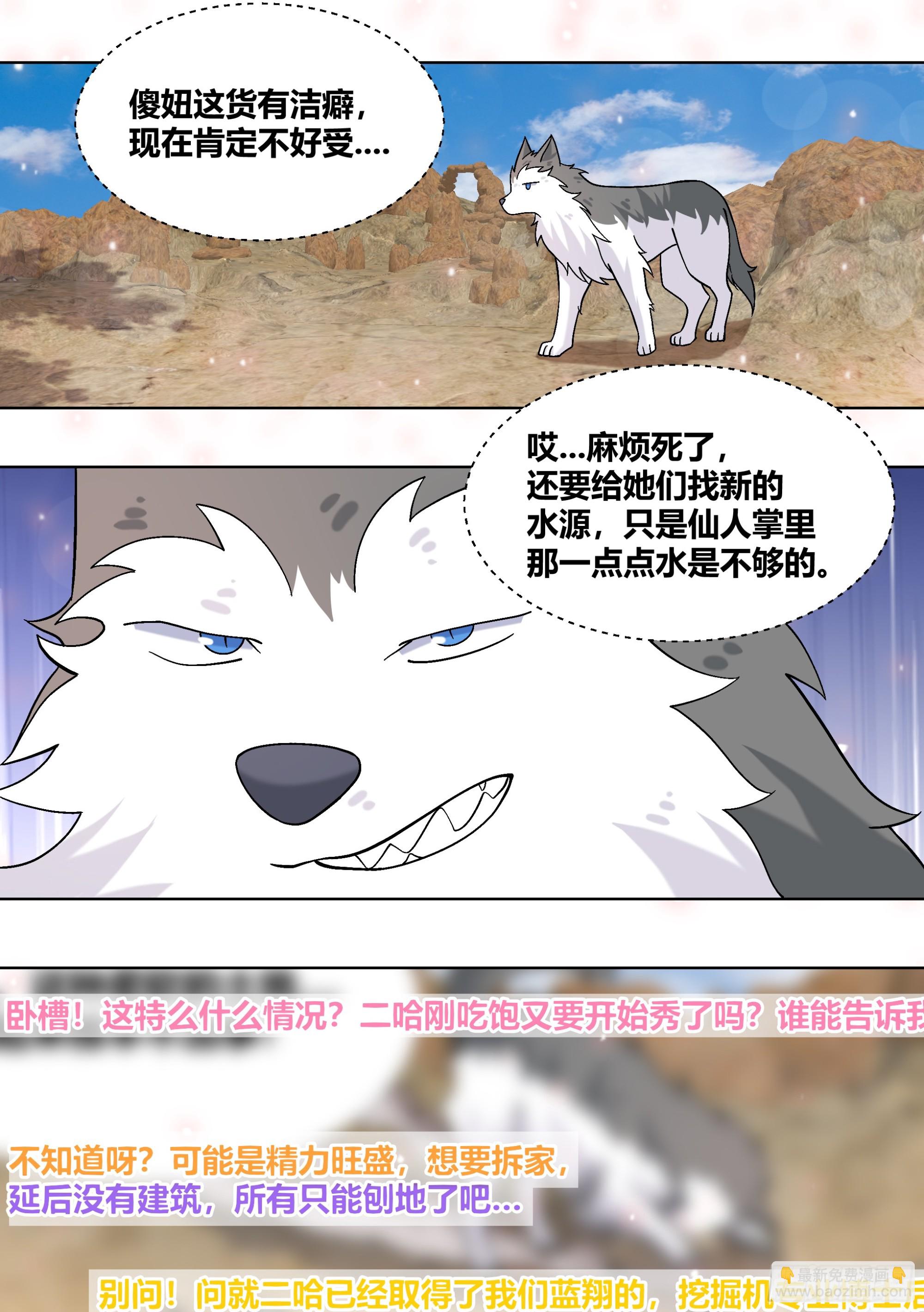 411-没有对比就没有伤害9