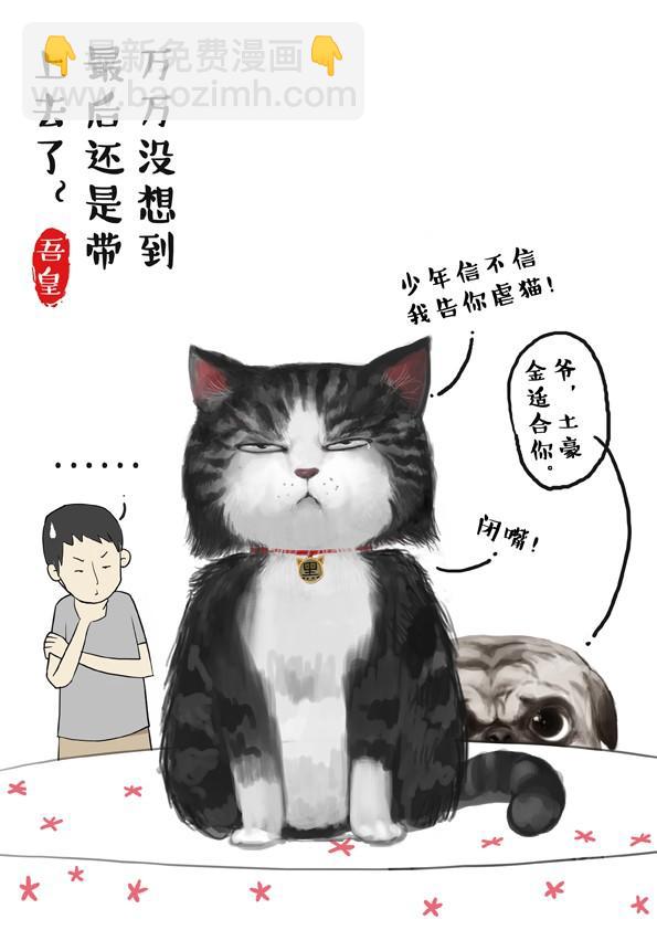 第2话 傲娇是猫的原则5