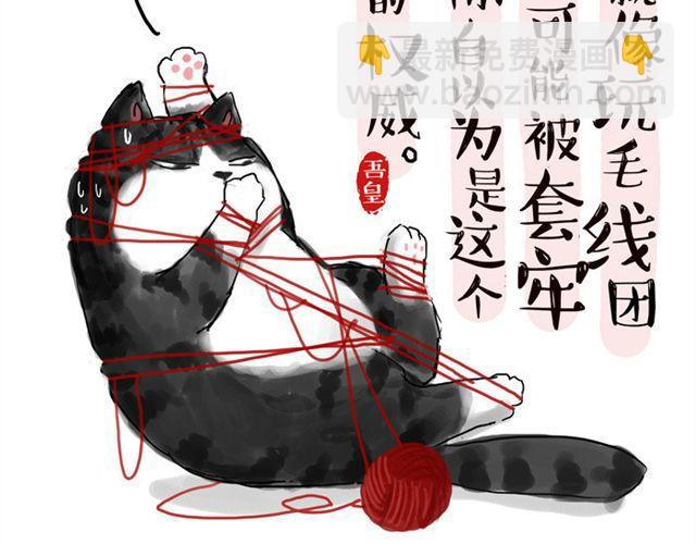 第15话 猫引发的朋友圈惨案1