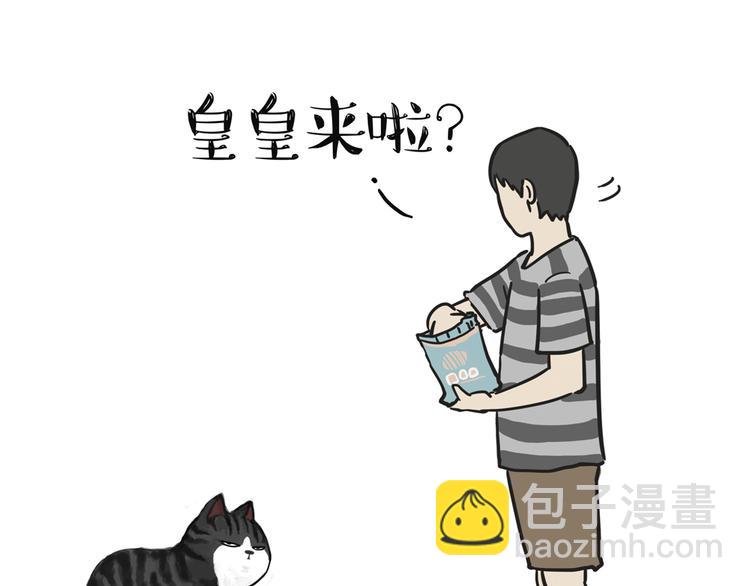 第42话 猫奴的“幸福”17