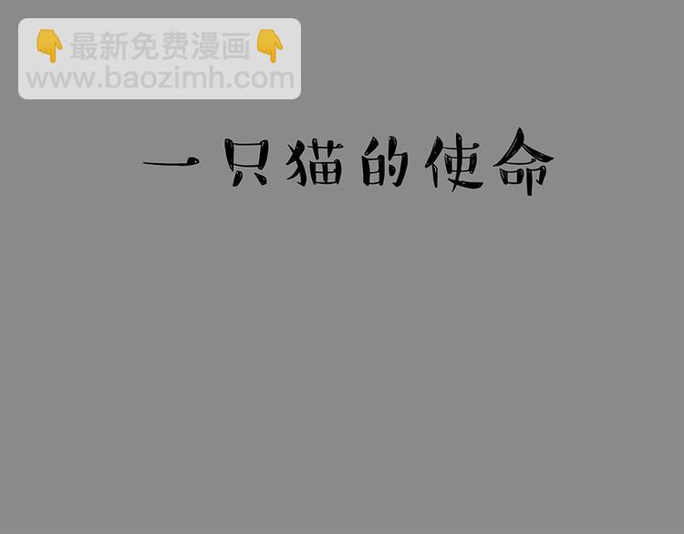 第52话 宠物的使命15