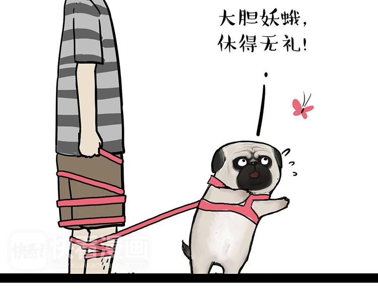 第52话 宠物的使命8