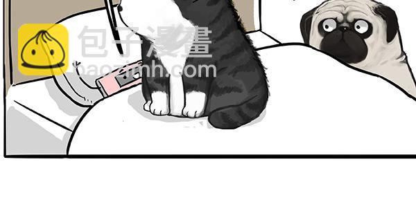 第73话 你才是肥仔嘞16