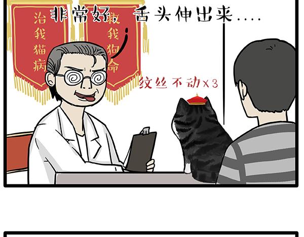 第78话 带宠物看病（上）3