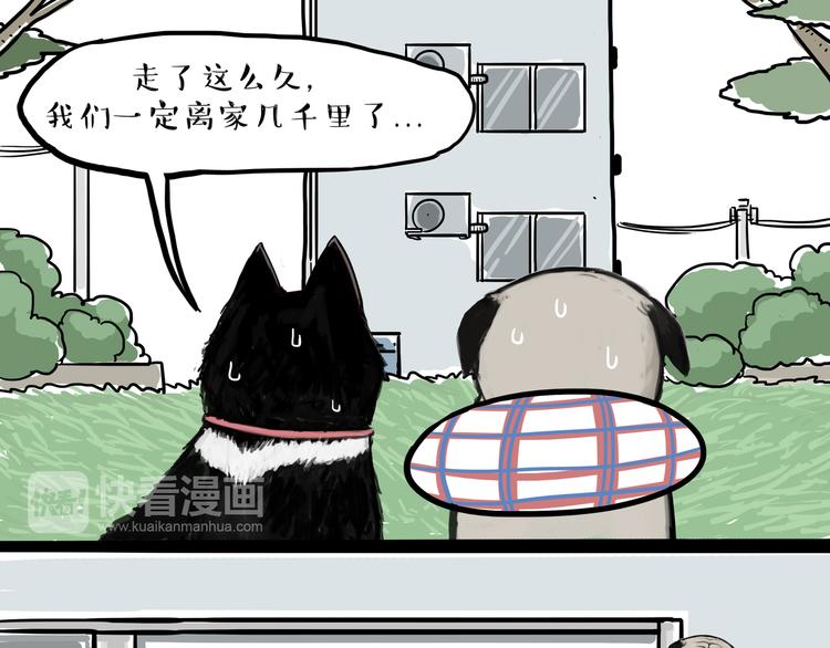 第116话 离家出走18