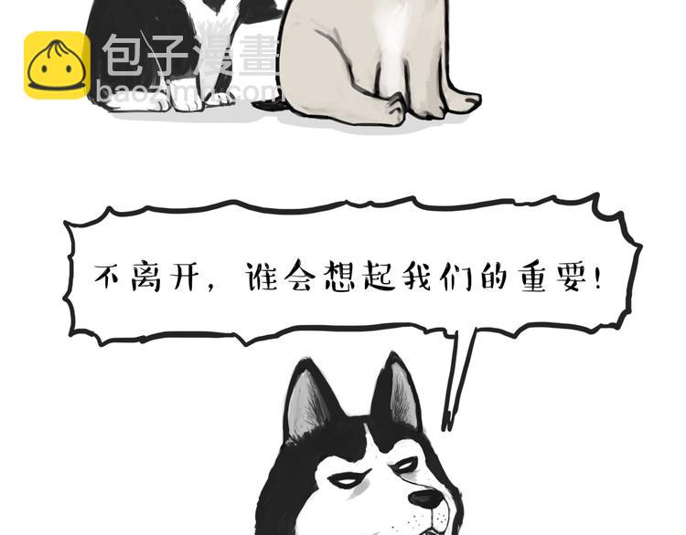 第116话 离家出走3