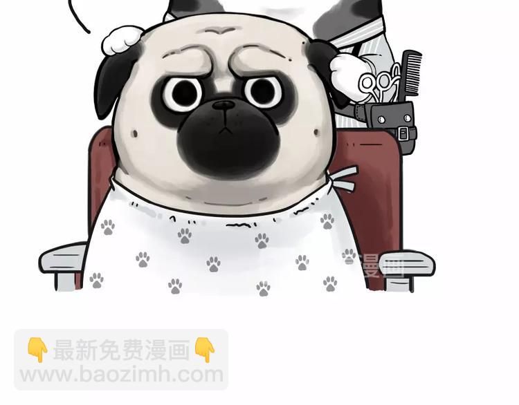 第182话 巴扎黑换了个头…型13
