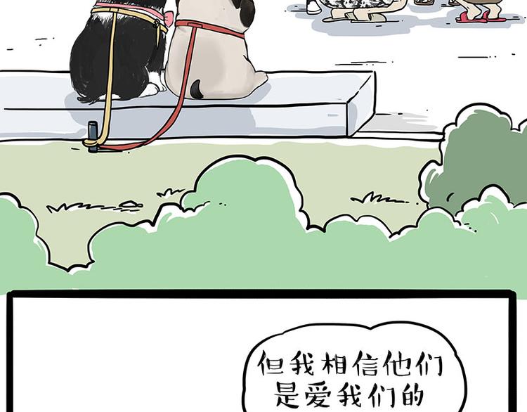 第223话 狗知识增加了1