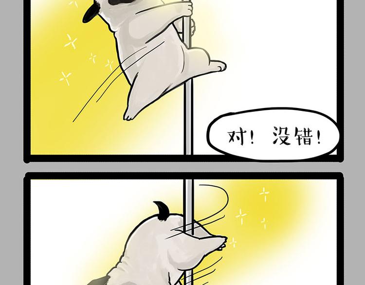 第230话 巴扎黑进娱乐圈？17