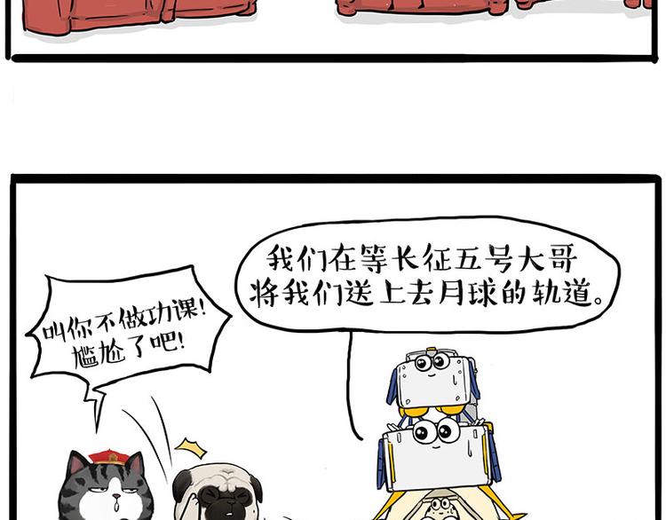 第245话 真上天了16