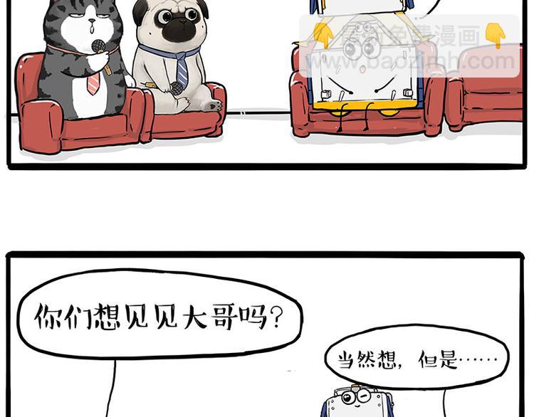 第245话 真上天了19