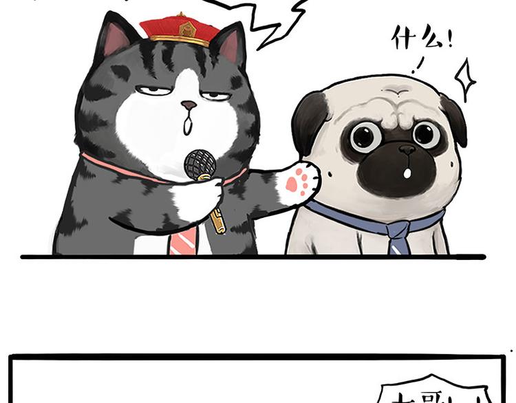 第245话 真上天了21