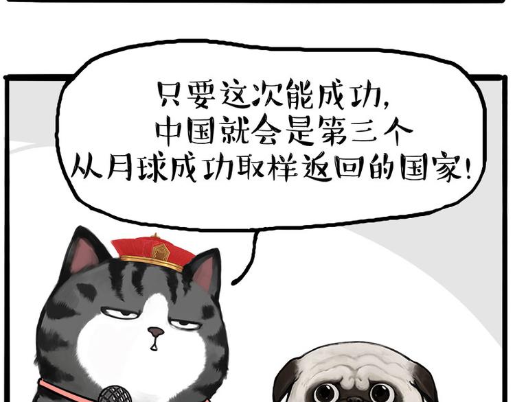 第245话 真上天了36