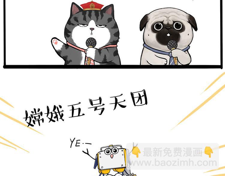 第245话 真上天了4
