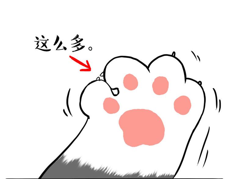 第245话 真上天了40