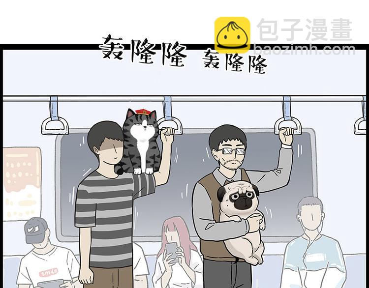 第247话 巴扎猪2