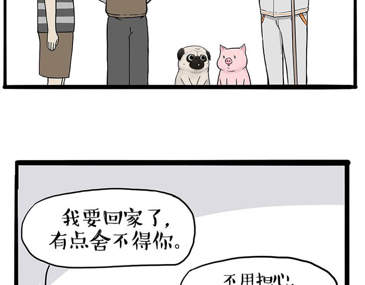 第247话 巴扎猪51