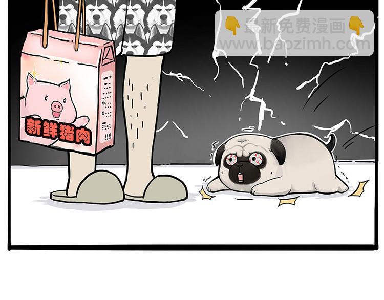 第247话 巴扎猪57