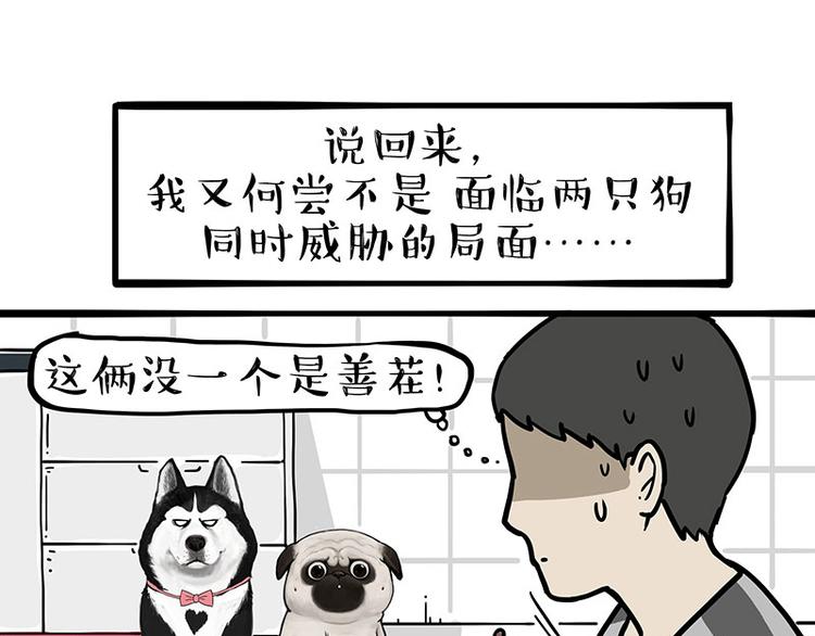 第253话 与狗争饭16