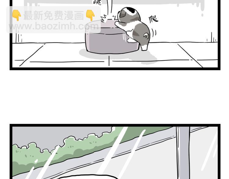 第267话 不让你流浪58