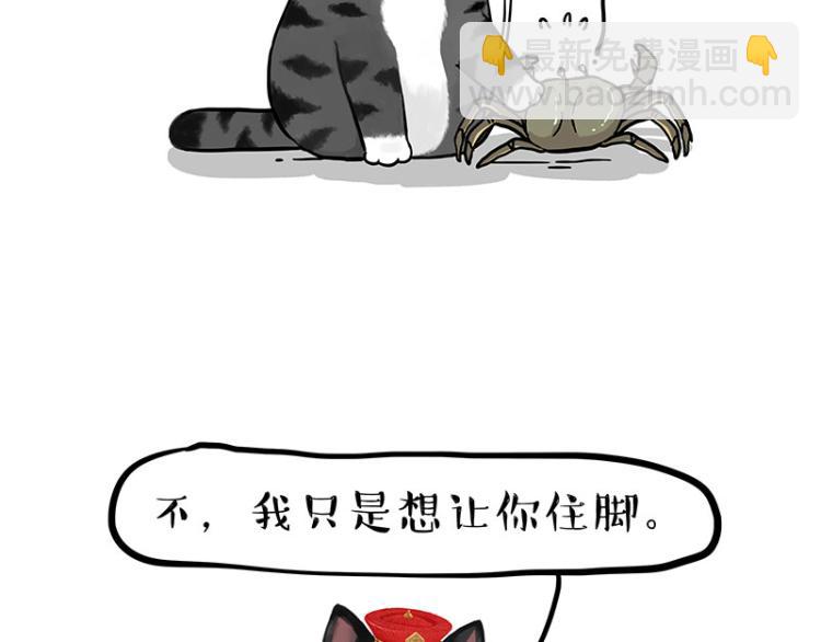 第286话 动物世界43