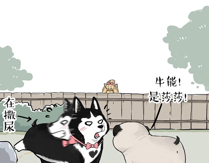 第327话 TA眼中的你6