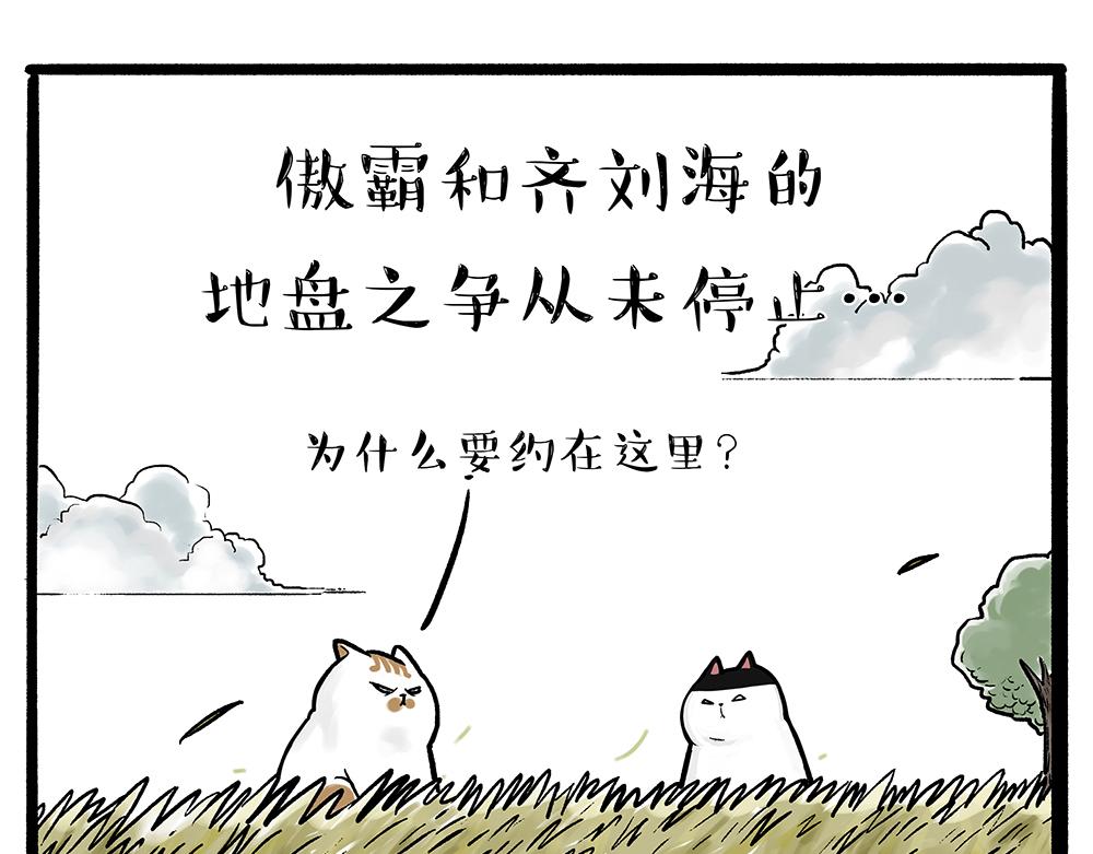 第331话 猫王争霸之“杀青”0