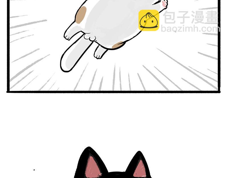 第331话 猫王争霸之“杀青”24