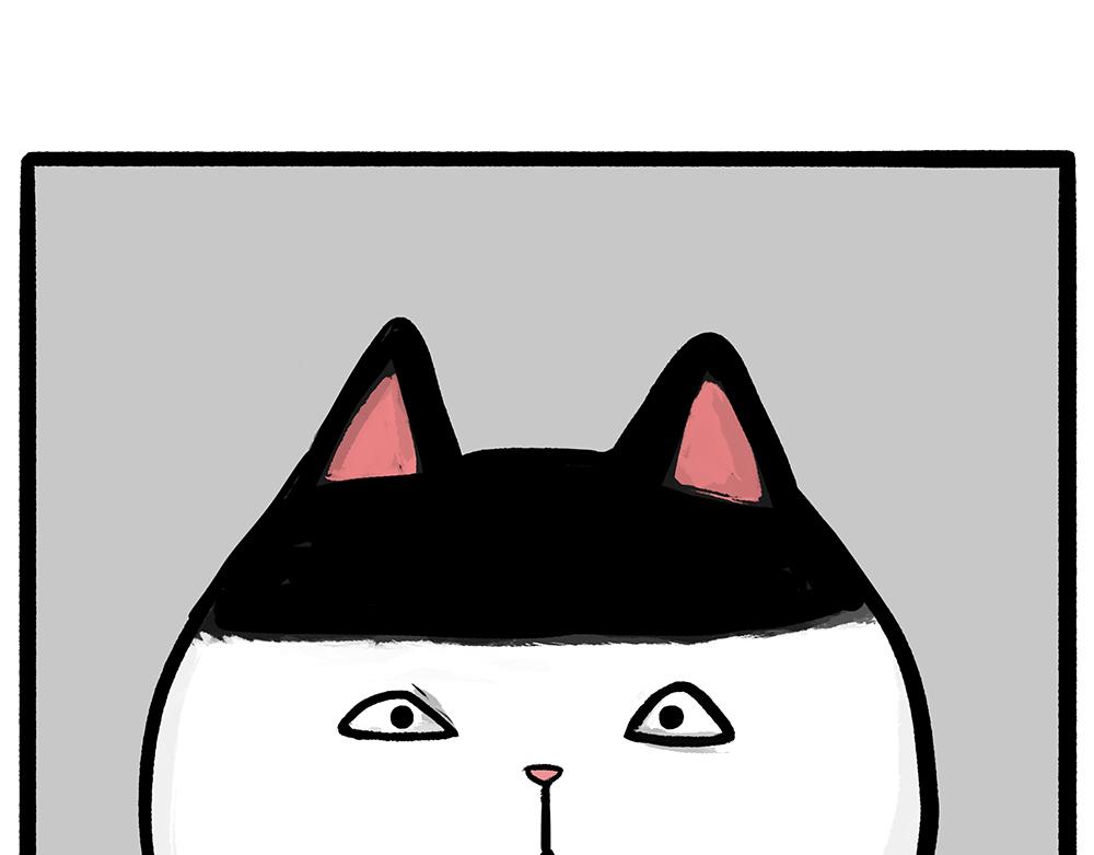 第331话 猫王争霸之“杀青”32