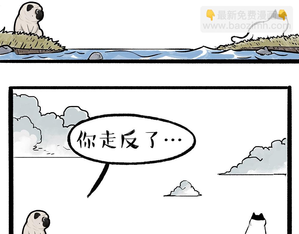 第331话 猫王争霸之“杀青”48