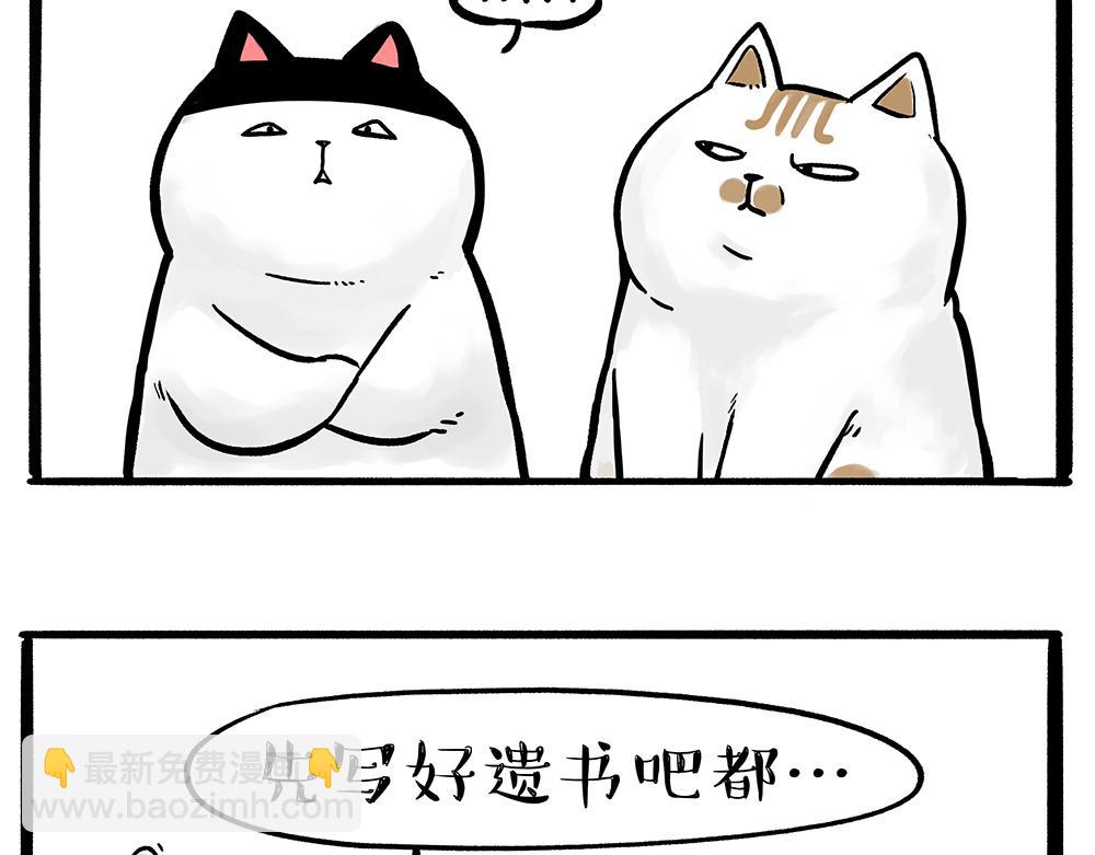 第331话 猫王争霸之“杀青”7