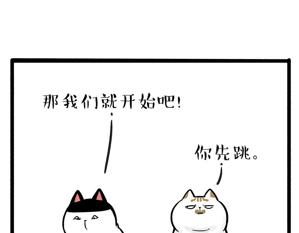 第331话 猫王争霸之“杀青”9