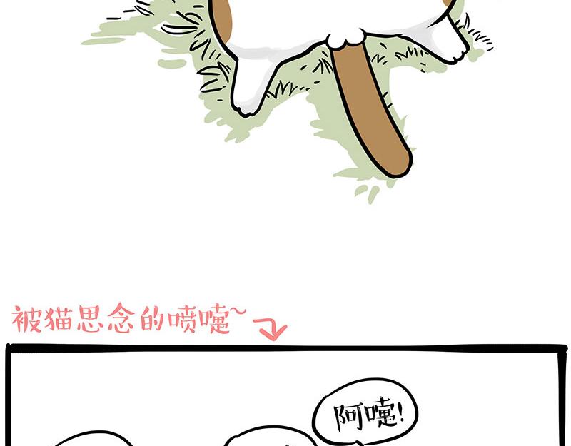 第339话 傲霸，上岸了！72