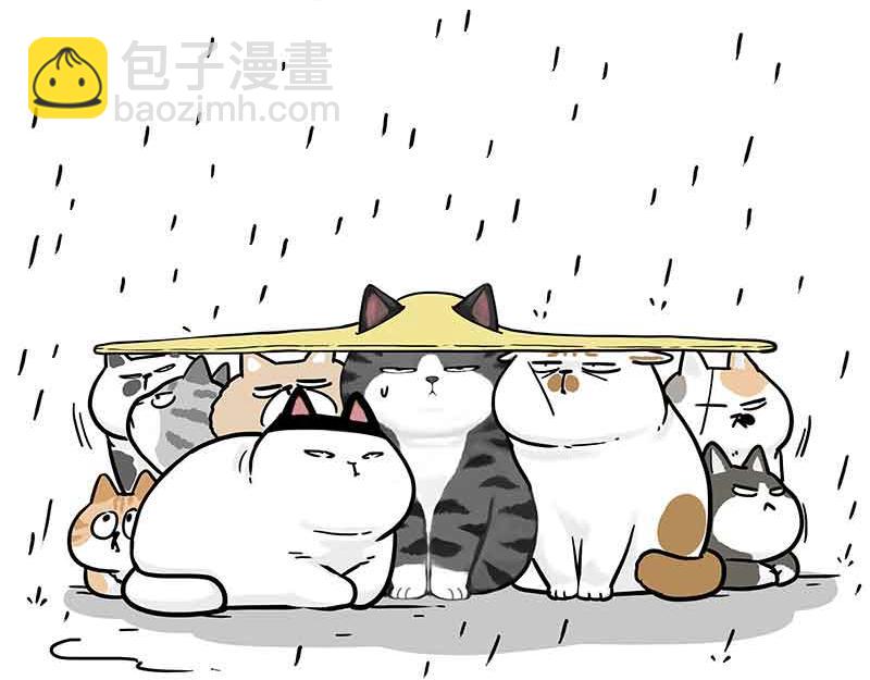 第359话 猫洛芬11
