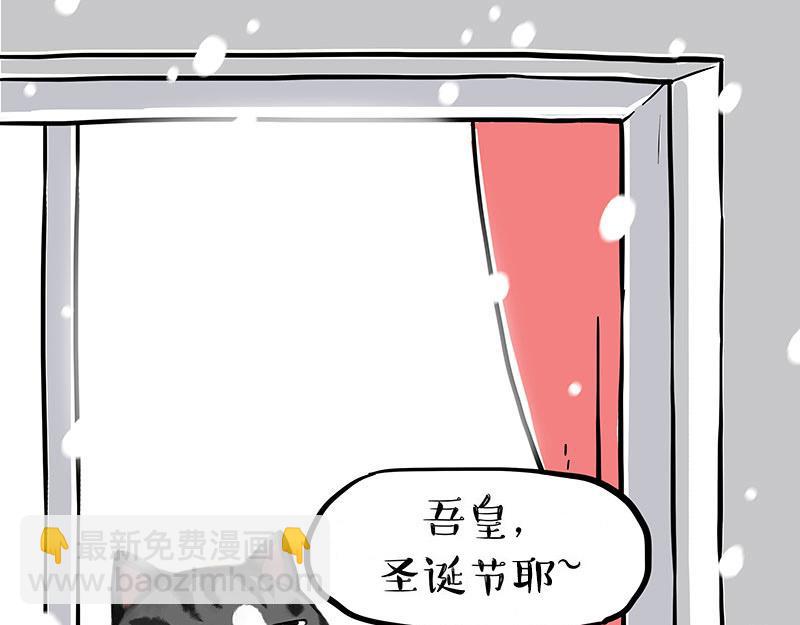 第359话 猫洛芬23
