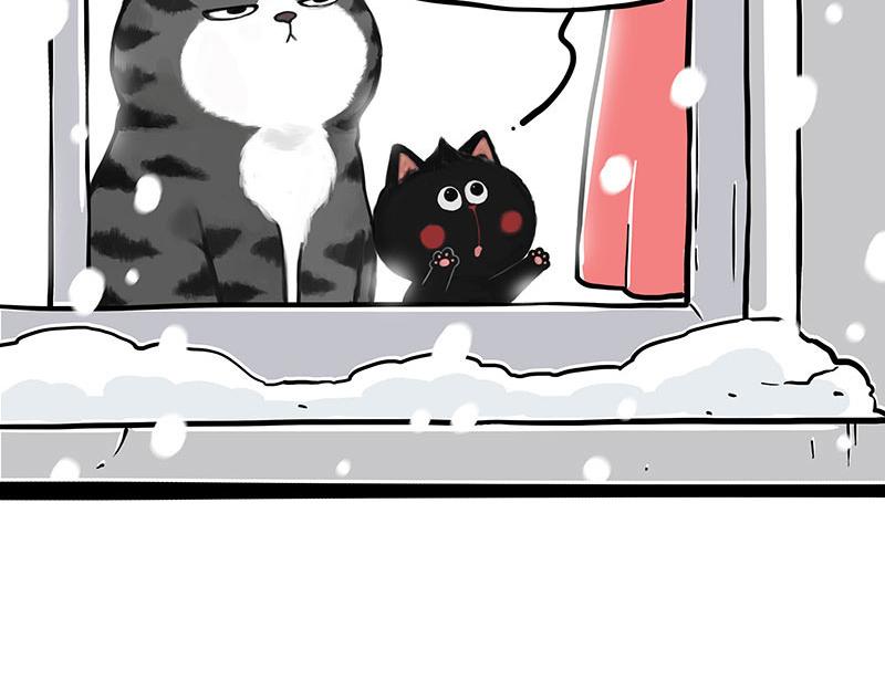 第359话 猫洛芬24