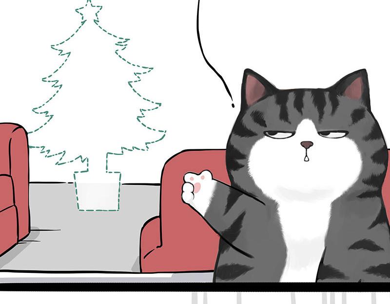 第359话 猫洛芬27
