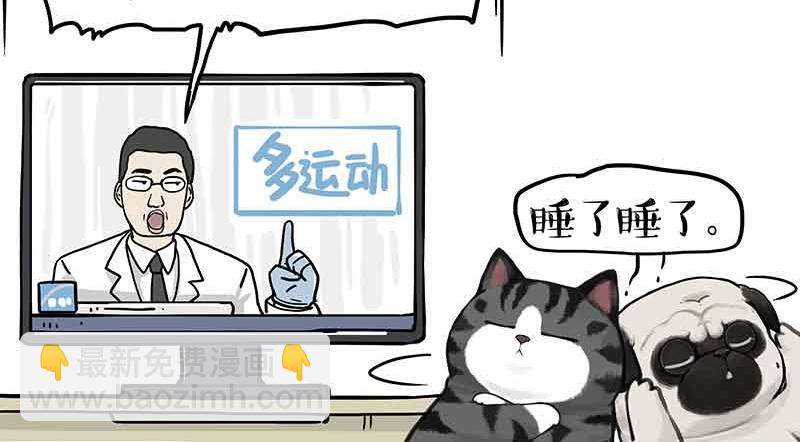 第359话 猫洛芬3