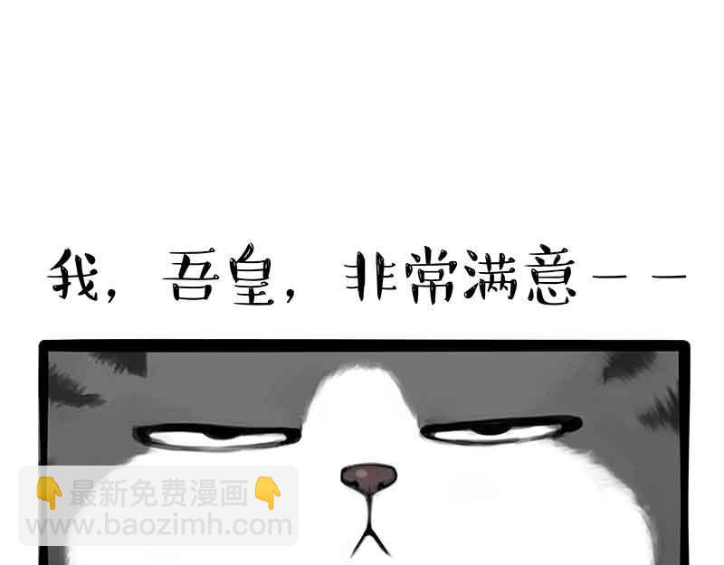 第359话 猫洛芬4