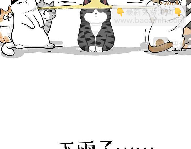第359话 猫洛芬8