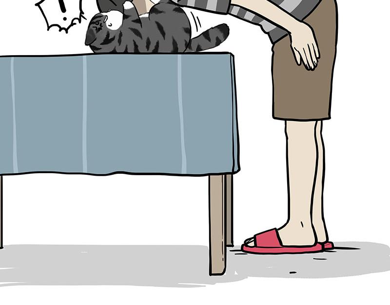 第382话 开心就好15